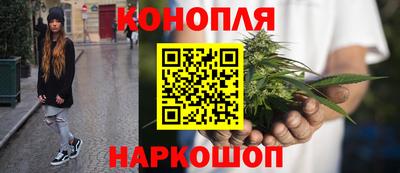 прущие крисы Пугачёв