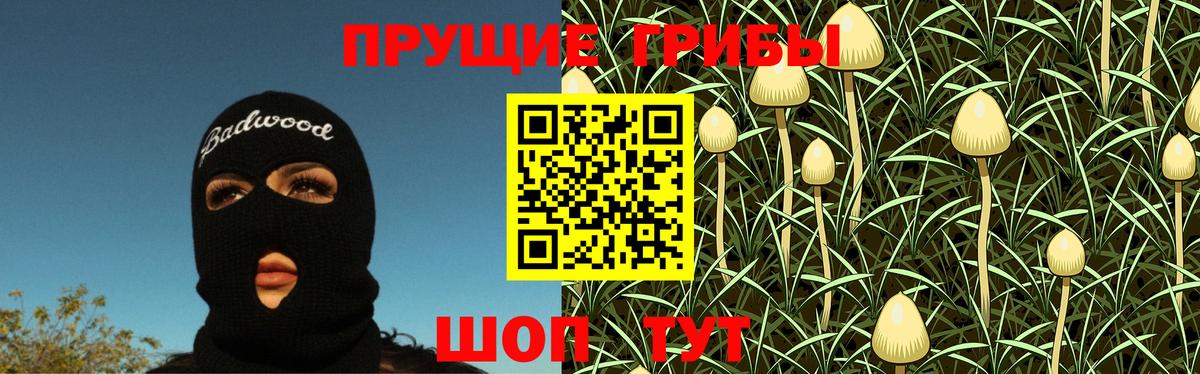 что такое наркотик  Вход с VPN  Глазов  Псилоцибиновые грибы мухоморы  Псилоцибиновые грибы ЛСД 